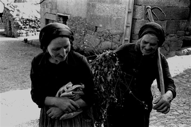 ann�es 1980